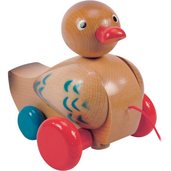 Woody Pulling duck flapping brown