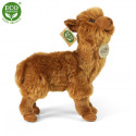 Rappa Plyšová lama hnědá 23 cm ECO-FRIENDLY
