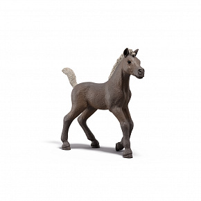 Schleich Zberateľské žriebä Darcy