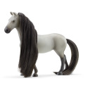 Schleich 42584 Startovací sada Sofia a Dusty