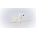 Schleich 13963 Zvířátko - Bišon frisé