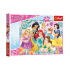 Puzzle Šťastný svět princezen/Disney Princess 200 dílků 48x34cm v krabici 33x23x4cm