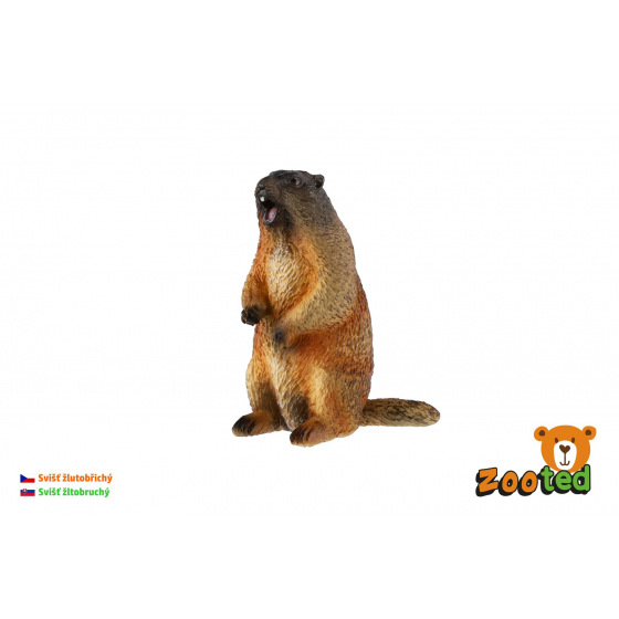 ZOOted Svišť žlutobřichý zooted plast 8cm 