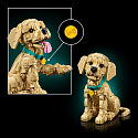 LEGO Icons 11384 Štěně zlatého retrívra