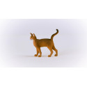 Schleich 13964 Zvířátko - Habešská kočka