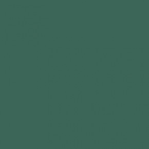 Italeri Farba akrylowa Italeri 4729AP - Flat Euro I Dark Green 20ml