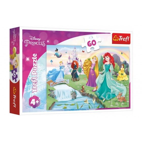 Trefl Puzzle Lernen Sie die Prinzessinnen kennen 33x22cm 60 Teile in einer Box 21x14x4cm