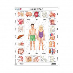 Dino UNSER KÖRPER 35 St. EDU Puzzle