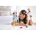 Mattel Barbie POVOLANIE HERNÝ SET S BÁBIKOU ASST DHB63