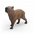 Schleich 14934 Zvířátko - kapybara