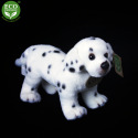 Rappa Plyšový dalmatin stojící 18 cm ECO-FRIENDLY