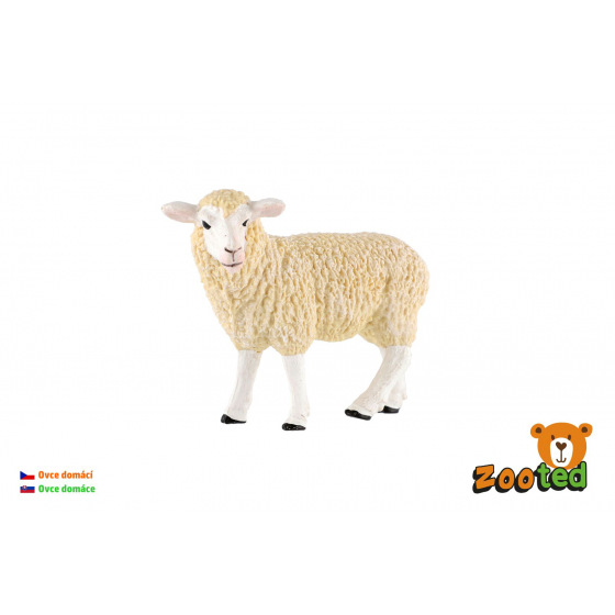 Ovce domácí zooted plast 8cm 