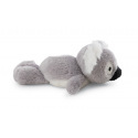 NICI Magnes NICI Koala Barry 12cm ZIELONY