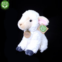 Rappa Pluszowa owieczka 18 cm ECO-FRIENDLY