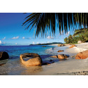 Ravensburger Pod palmami 1000 dílků
