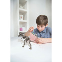 4M mac toys Dinosauří kostra - REX