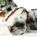 Rappa Plüsch Australian Shepherd liegend 61 cm ECO-FRIENDLY