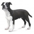 Collecta Mac Toys Amerykański Staffordshire Terrier