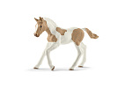 Schleich Zvířátko - Hříbě plemene Paint Horse