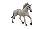 Schleich Zvířátko - hřebec Sorraia Mustang
