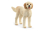 Schleich 13939 Pies Goldendoodle