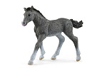 Schleich 13944 Zwierzę - Źrebię rasy trakeńskiej