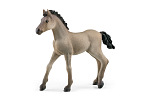 Schleich 13949 Źrebię Criollo Definitivo