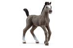 Schleich 13957 Pet - Źrebię rasy Selle Français