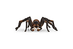Schleich 13987 Harry Potter - Aragog