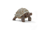 Schleich 14824 Żółw olbrzymi