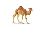Schleich 14832 Zwierzę - dromader