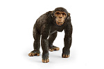 Schleich Zvieratko - Šimpanz