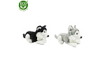 Rappa Plush Husky 17 cm ECO-FRIENDLY