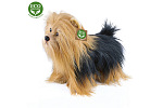 Rappa Plush Yorkshire stojący 30 cm ECO-FRIENDLY