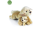 Rappa Pluszowy Labrador z dzieckiem w pozycji leżącej 25 cm ECO-FRIENDLY