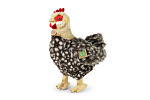 Rappa Pluszowa kura stojąca 33 cm ECO-FRIENDLY