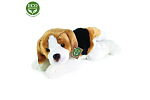 Rappa Pluszowy pies Beagle leżący 30 cm ECO-FRIENDLY