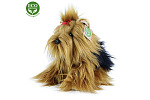 Rappa Pluszowy pies Yorkshire Terrier siedzący 23 cm ECO-FRIENDLY
