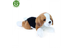 Rappa Pluszowy Beagle 20 cm EKOLOGICZNY