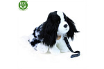 Rappa Plusz. pies cavalier na smyczy 27 cm ECO-FRIENDLY