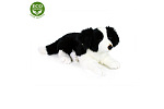 Rappa Pluszowy pies Border collie leżący 45 cm ECO-FRIENDLY