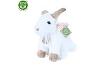 Rappa Pluszowa koza do siedzenia 18 cm ECO-FRIENDLY