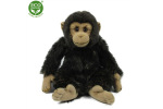 Rappa Pluszowy szympans 27 cm EKO-PRZYJAZNY