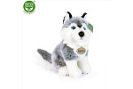 Rappa Pluszowy pies Husky siedzący 30 cm ECO-FRIENDLY