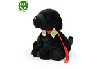 Rappa Pluszowy Labrador czarny ze smyczą 28 cm ECO-FRIENDLY