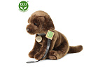 Rappa Pluszowy Labrador 25 cm ECO-FRIENDLY