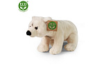 Rappa Pluszowy niedźwiedź polarny 22 cm ECO-FRIENDLY
