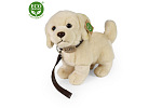 Rappa Golden Retriever pluszowy pies stojący ze smyczą 25 cm ECO-FRIENDLY