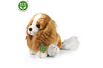Rappa Pluszowy Pies Cavalier King Charles Spaniel 28 cm ECO-FRIENDLY
