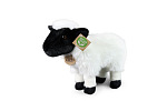 Rappa Plyšová ovce 27 cm ECO-FRIENDLY